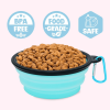 "Place Steak Here" Aqua Dog Bowl