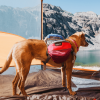 Adventurer 2-piece Dog Pack With EZ Latch  Harness
